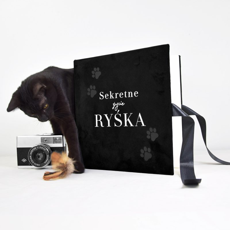 Welurowy album na zdjęcia „Sekretne życie kota”
