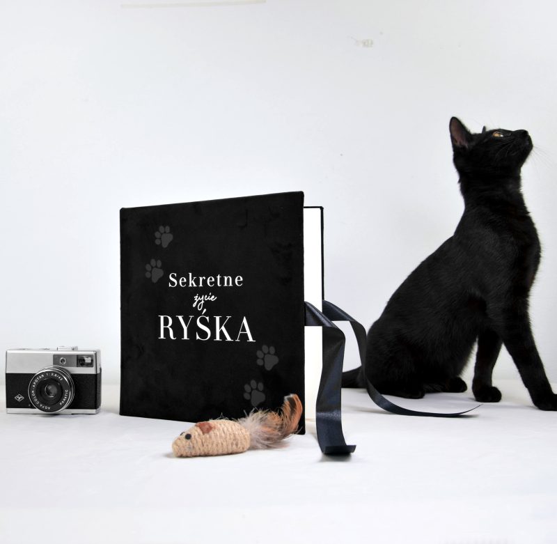 Welurowy album na zdjęcia „Sekretne życie kota”