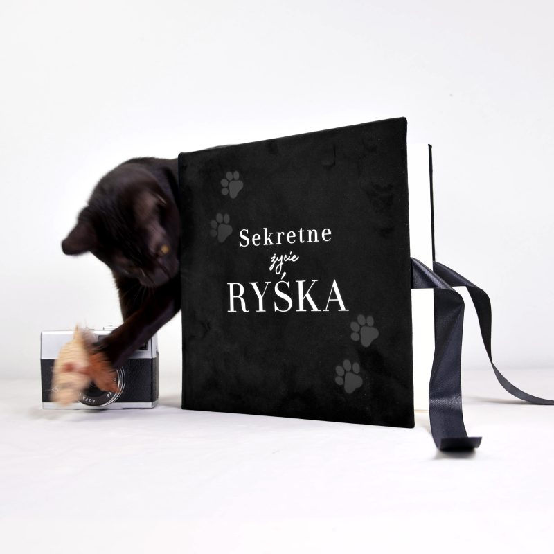 Welurowy album na zdjęcia „Sekretne życie kota”